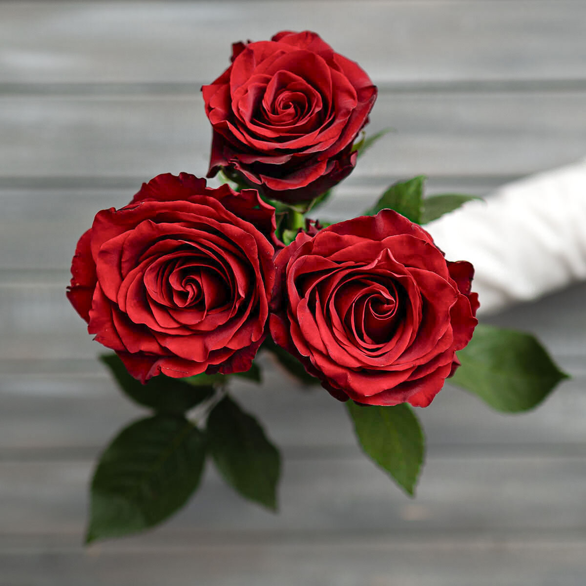 Букет живых цветов из 3 красных роз с лентой Эквадор 60 см