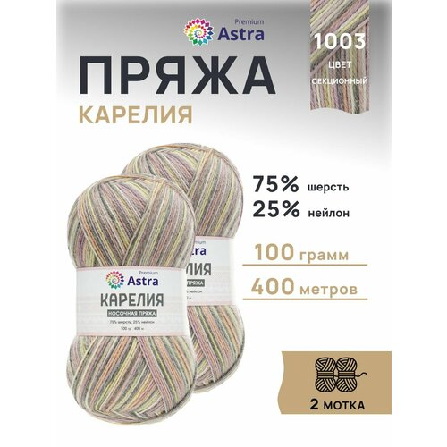 фото Пряжа для вязания astra premium 'карелия' носочная (karelia sock), 100г, 400м (75% шерсть, 25% нейлон) (1003), 2 мотка