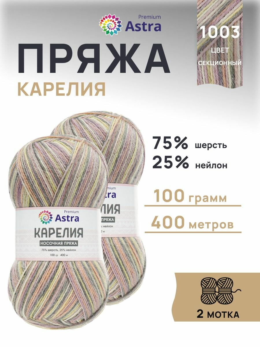 Пряжа для вязания Astra Premium 'Карелия' носочная, 100г, 400м (75% шерсть, 25% нейлон) (1003), 2 мотка