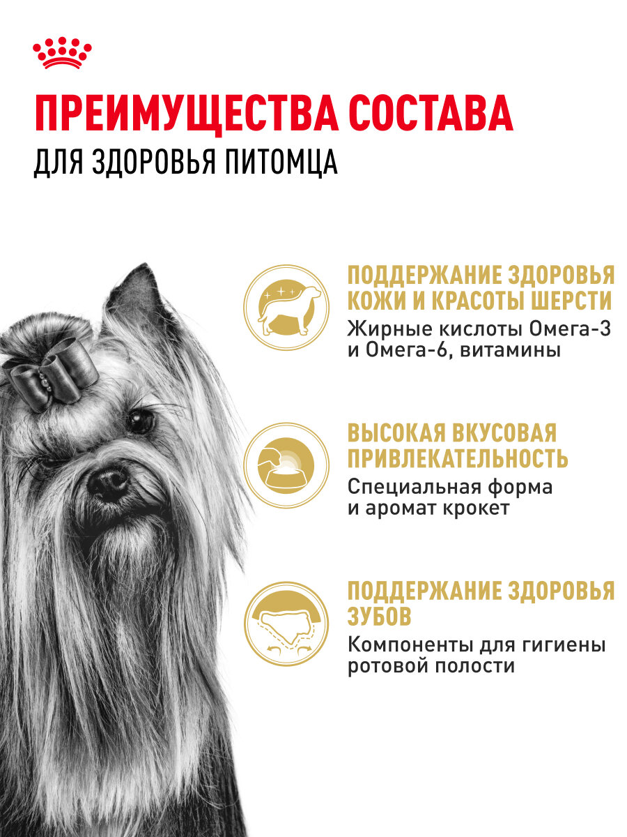 Сухой корм для собак Royal Canin Adult для породы йоркширский терьер, 3 кг — фото 1