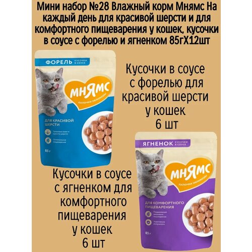 Мини набор №28 Влажный корм Мнямс для комфортного пищеварения кошек, кусочки в соусе с форелью и ягненком, 12 шт х 85 гр