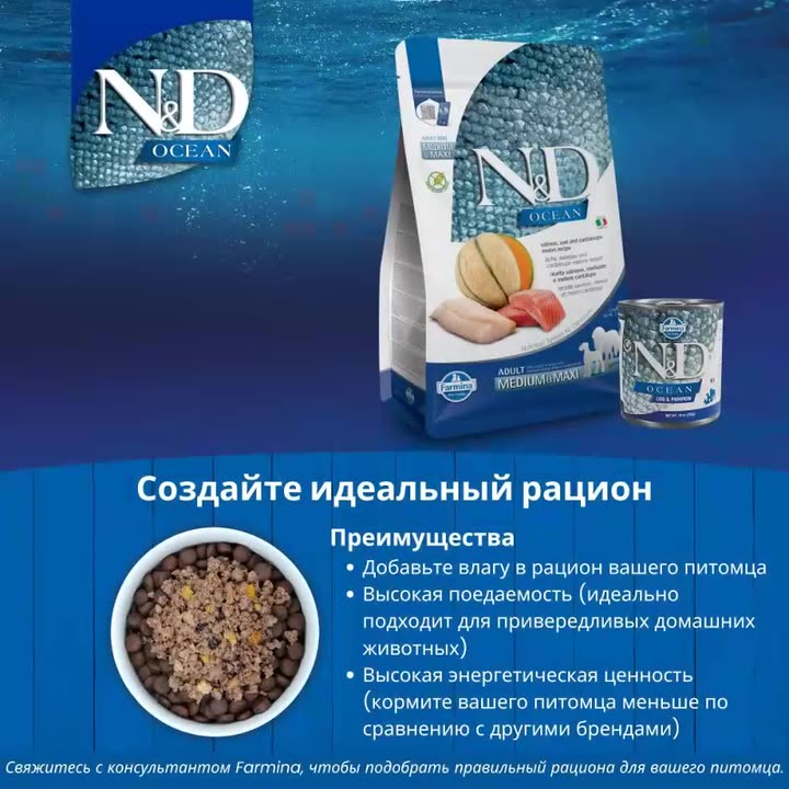 Сухой корм Farmina Н&Д Оушен Для взрослых собак Медиум и макси С лососем, треской и дыней 2.5 кг — фото 1