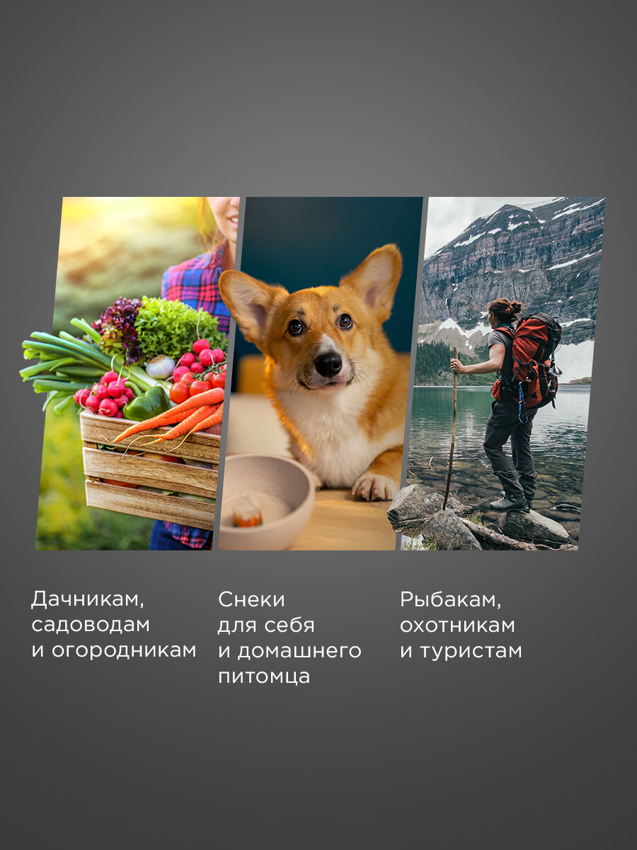 Сушилка дегидратор REDMOND FD1105, для овощей, фруктов, грибов, мяса, с поддоном для пастилы, сеткой для трав, графит — фото 1