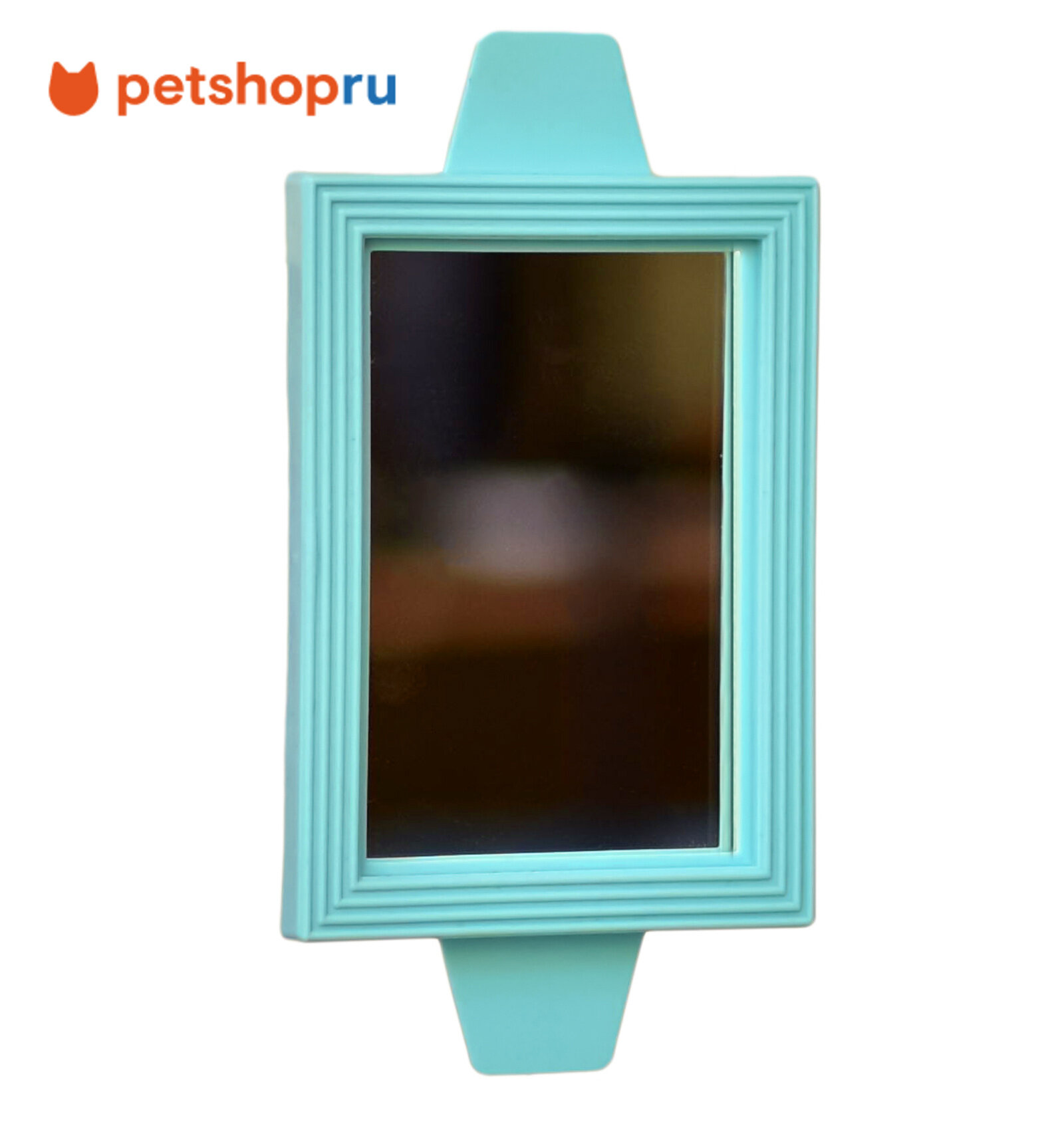 Yami-Yami Зеркало для птиц квадратное бирюзовый 6.5 х 9 см