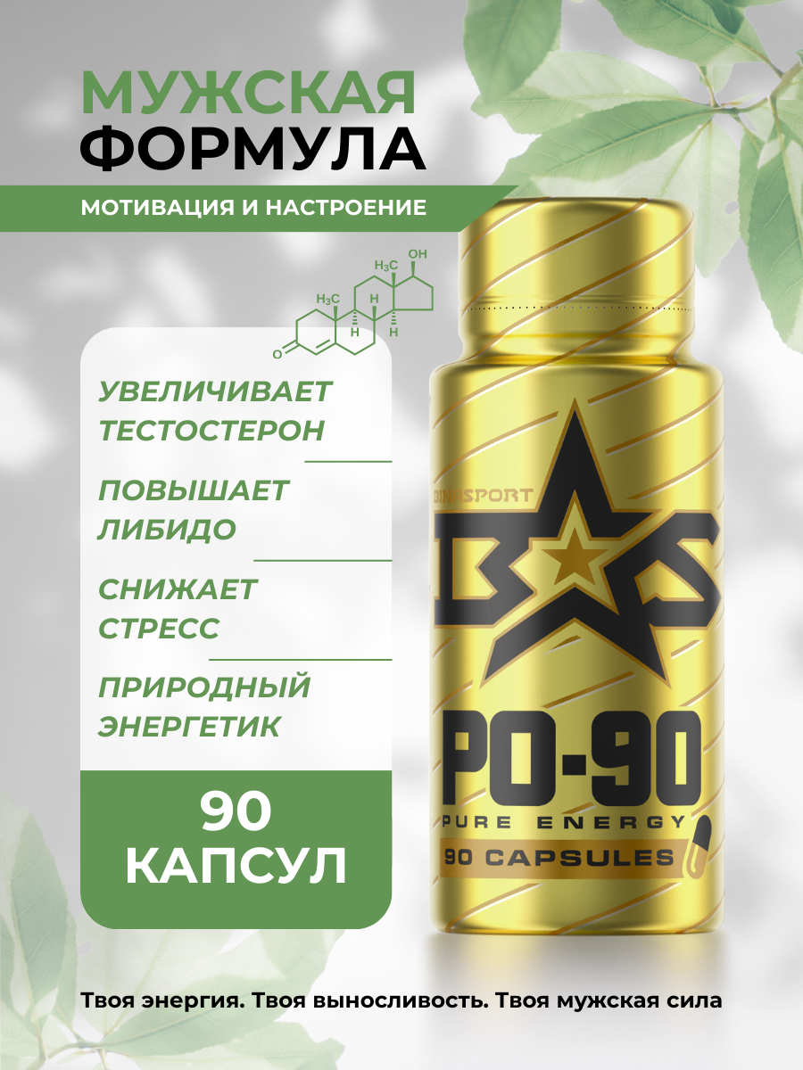 BINASPORT Адаптоген и энергетик для мужчин Binasport "PO-90" 90 капс.
