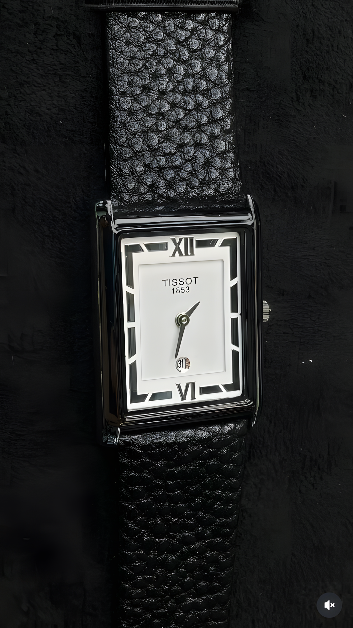 Наручные часы TISSOT, black/white