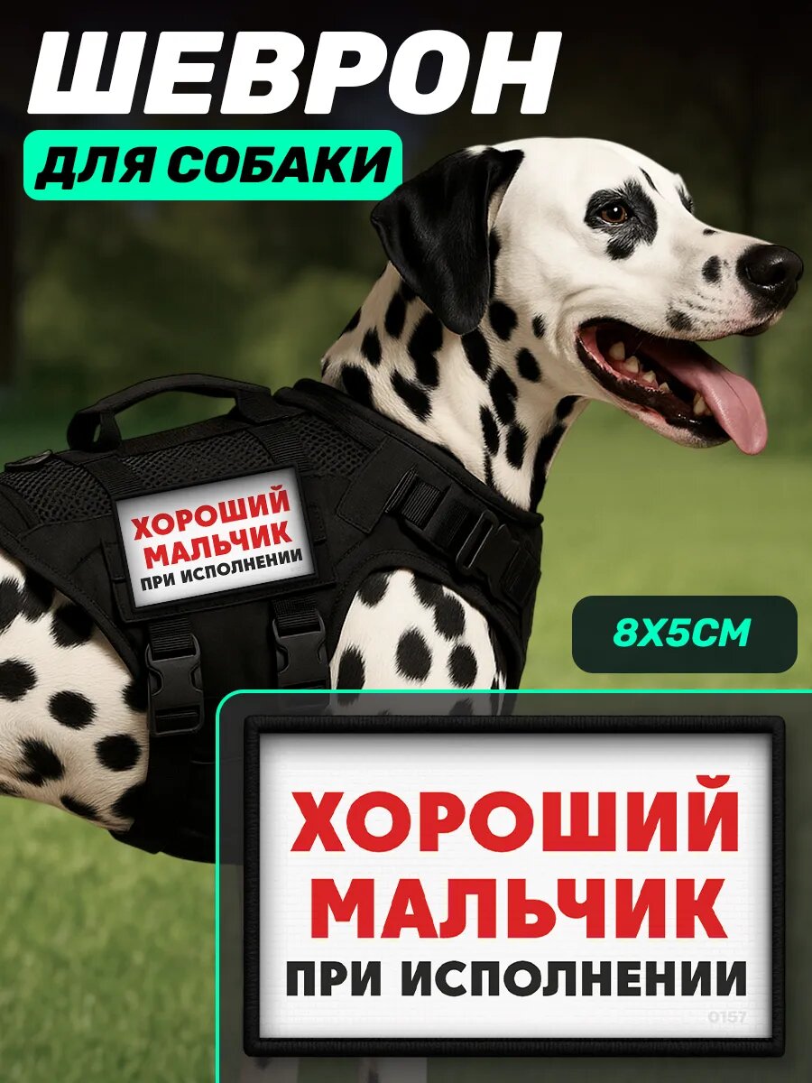 Шеврон на шлейку для собак Хороший мальчик при исполнении