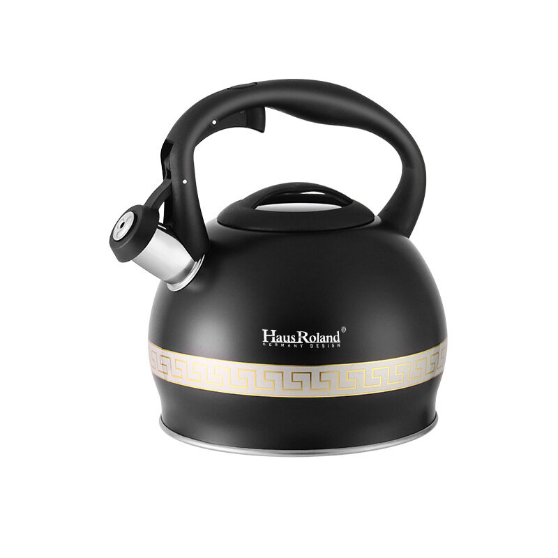 Большой чайник 3л со свистком — Подходит для всех типов плит, матовая поверхность