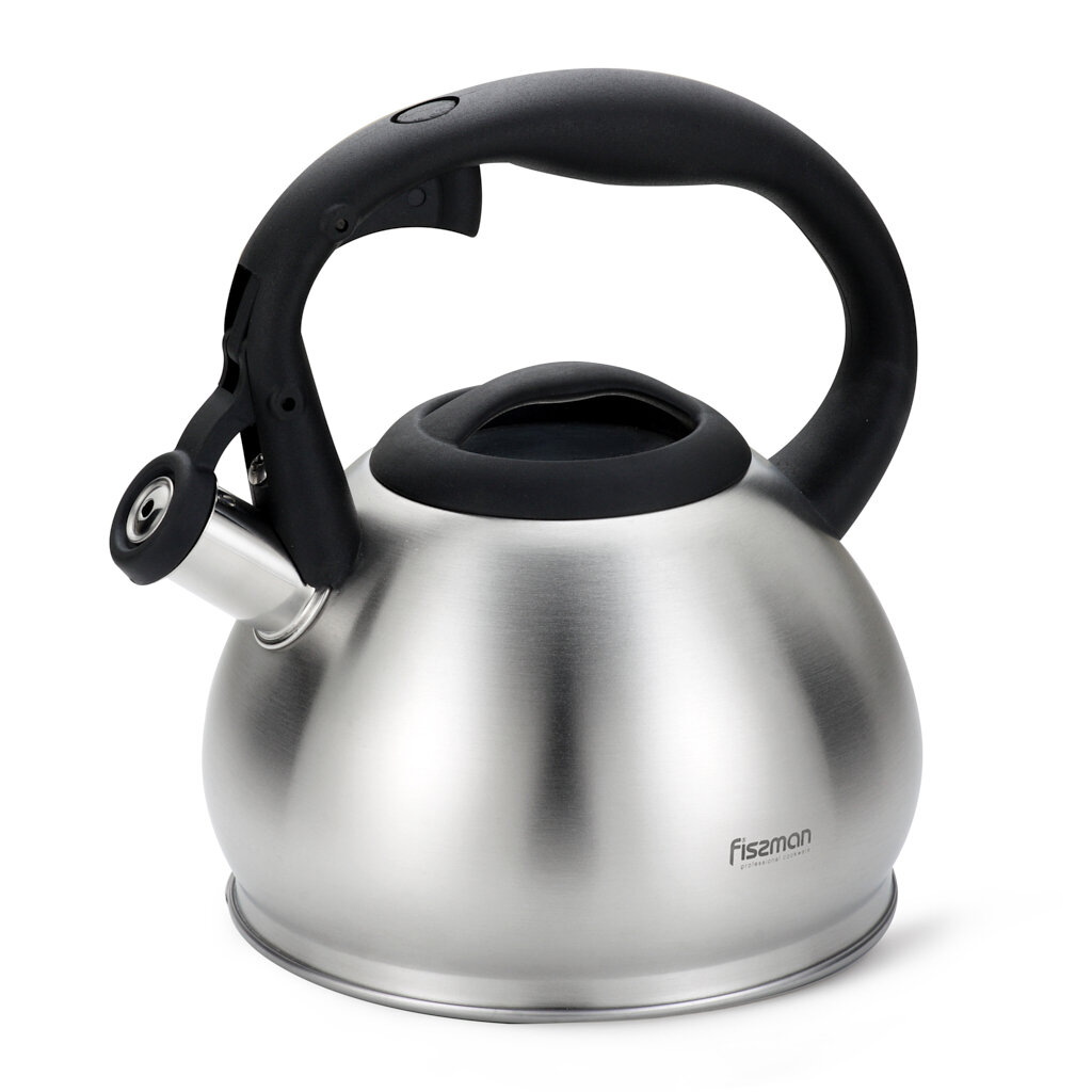 Чайник для плиты 1,2 л из нержавеющей стали Anika