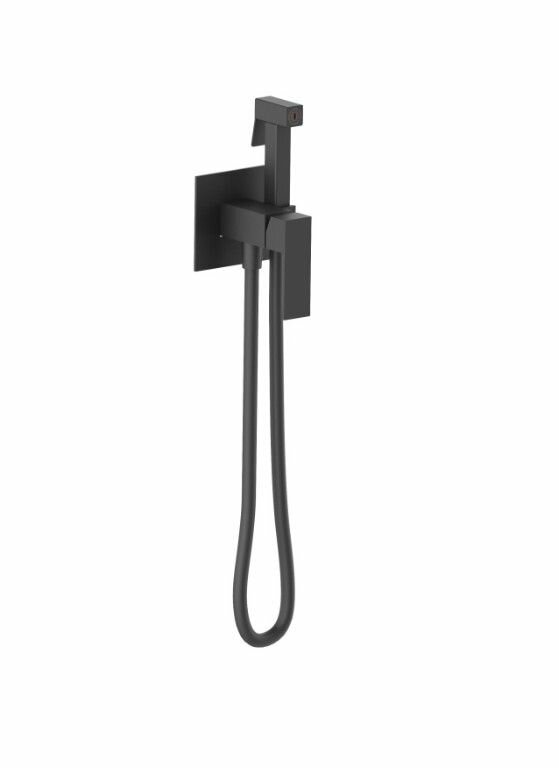 Смеситель встроенный с гигиеническим душем VIEIR V362551-C