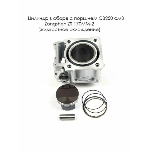 Цилиндр в сборе с поршнем CB250 см3 Zongshen ZS 170MM-2 (100104468-0006)+(смотри каталог)