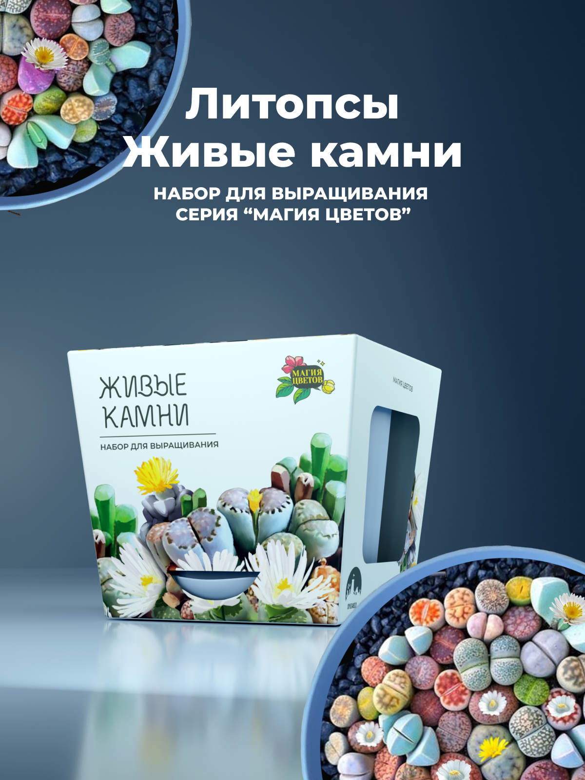 Набор для выращивания растений от бренда