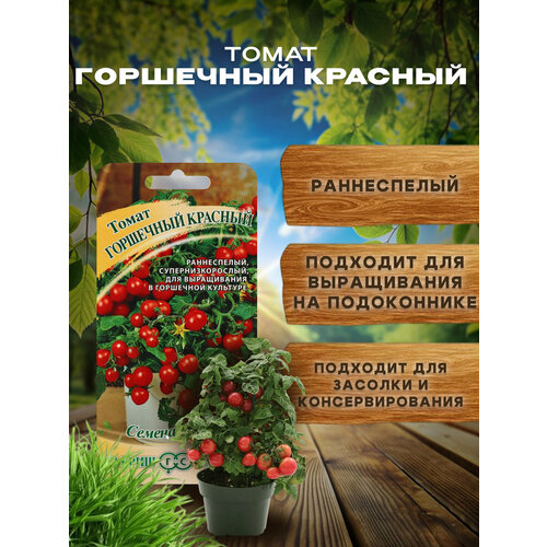 фото Семена балконных томатов горшечный, помидоры для балкона и подоконника. гавриш