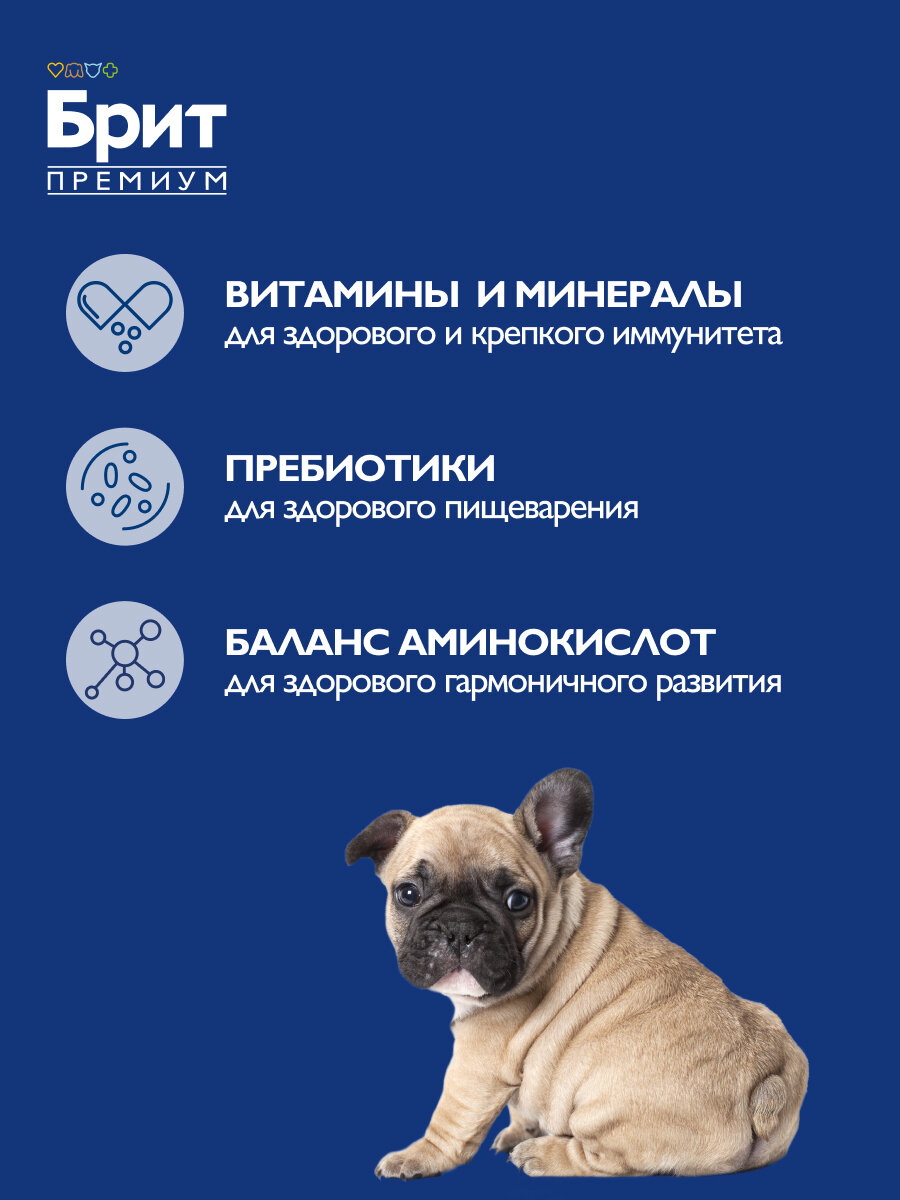 Сухой корм для щенков и молодых собак Brit Premium Puppy and Junior Medium с курицей 1 уп. х 1 шт. х 8 кг — фото 1