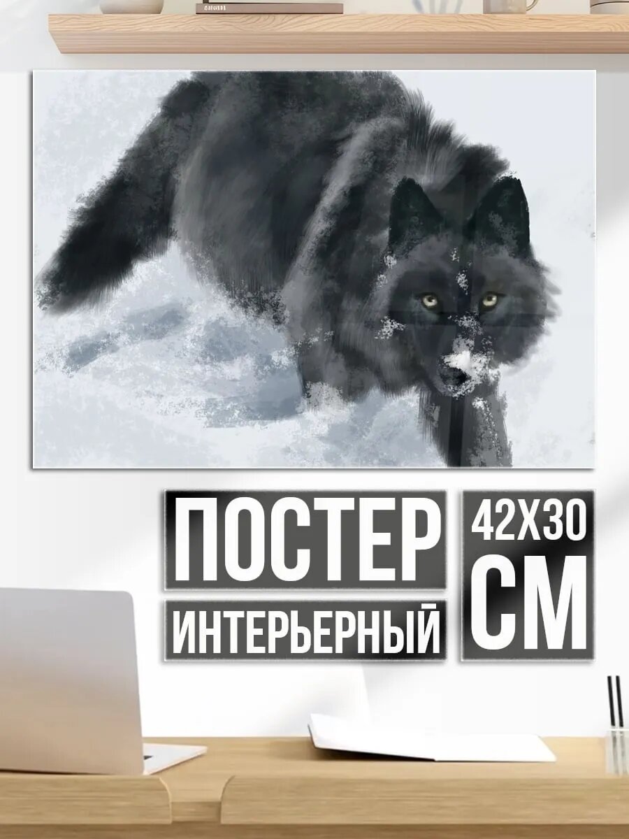 Плакат постер Черный волк в снегу
