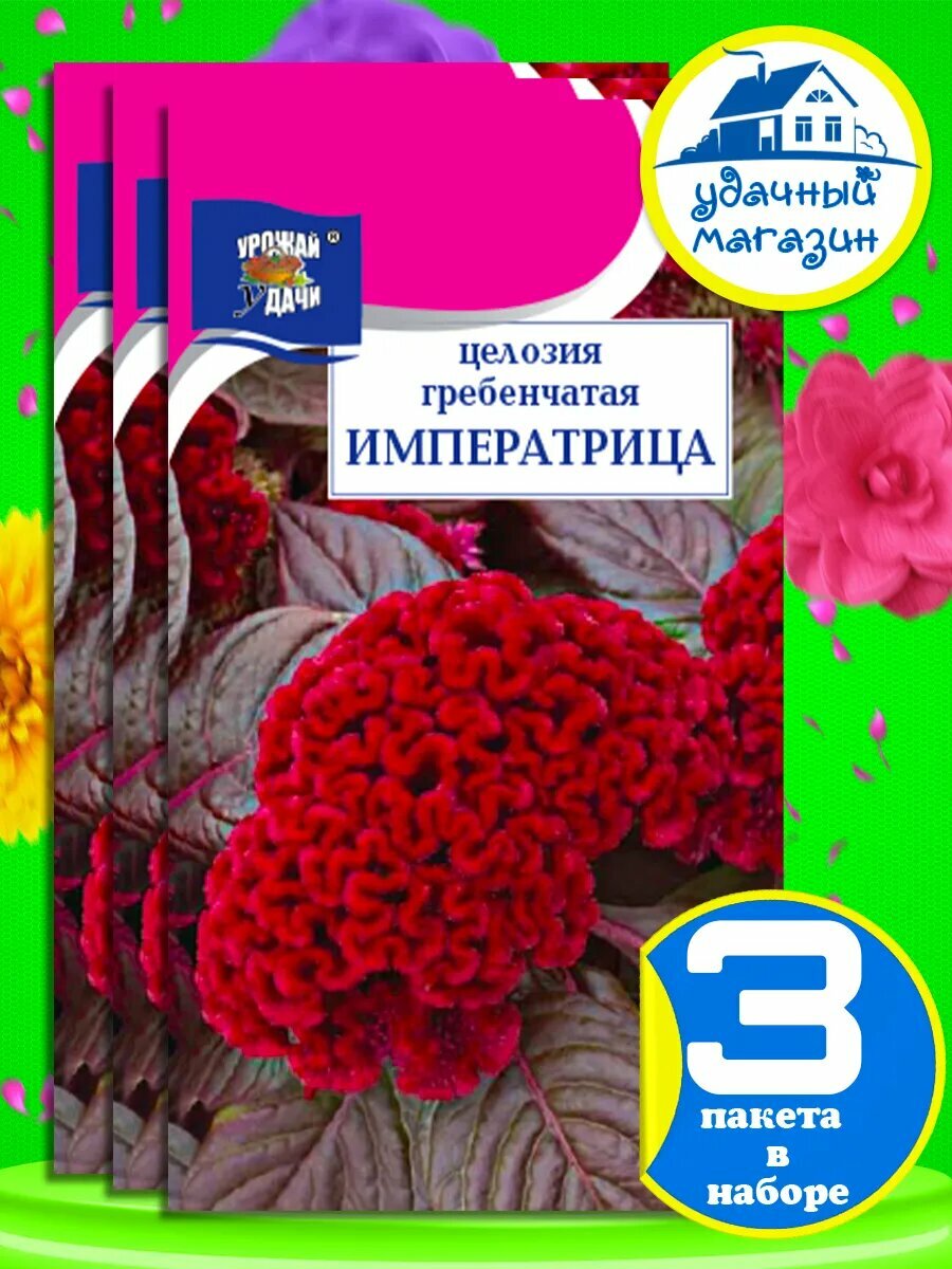 Семена цветов целозия гребенчатая