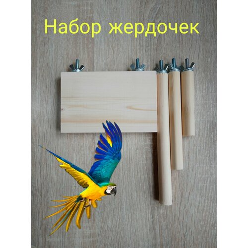 Набор жёрдочек и полка для птиц. Комплект 4шт. Из натурального дерева.