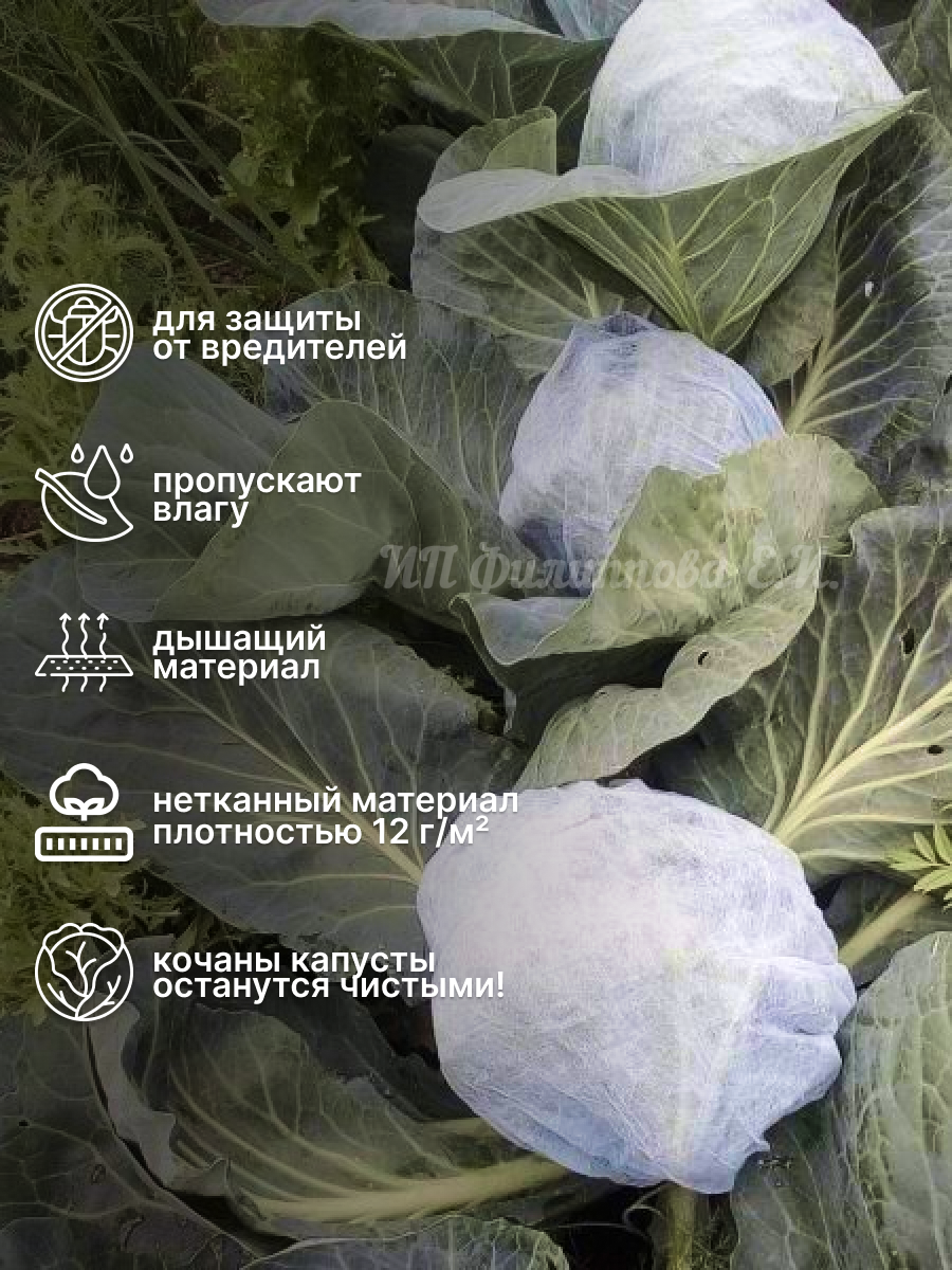 Шапочки для капусты и подсолнуха спанбонд защита от вредителей и бабочек 50шт чехол для капусты укрывной материал — фото 1