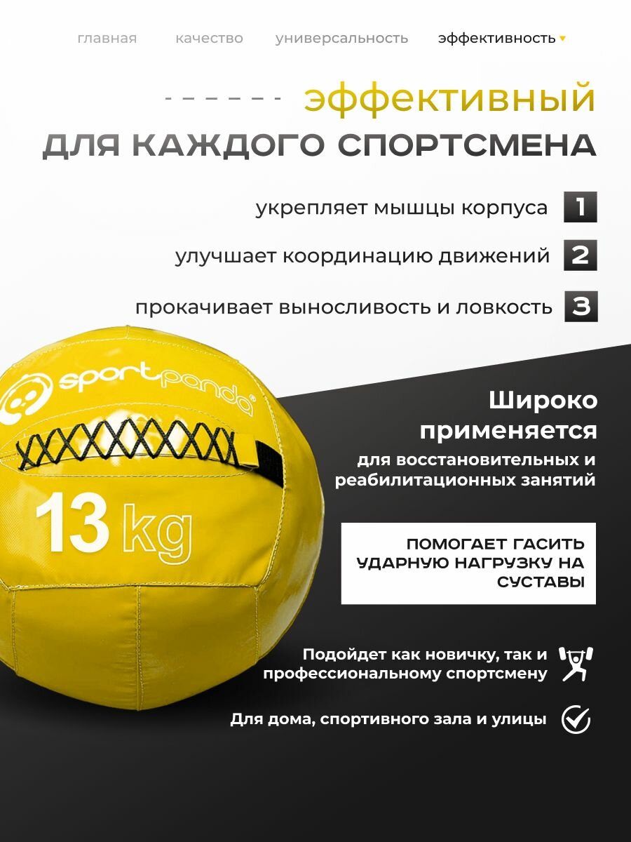Медбол SportPanda, ПВХ, диаметр 38 см, 13 кг, армированные швы — фото 1