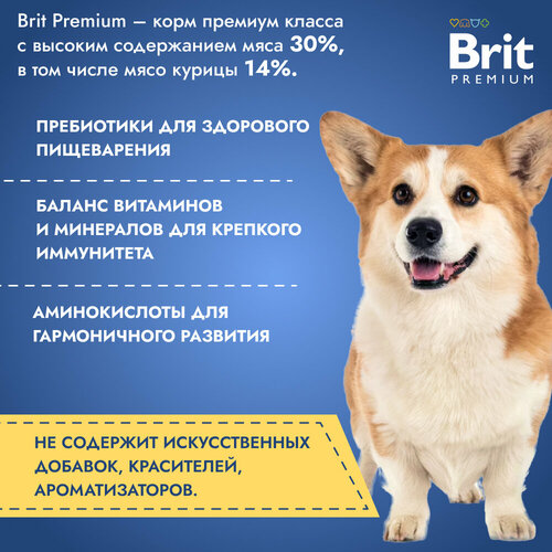 Brit Premium Dog Adult Medium для взрослых собак средних пород Курица, 15 кг.