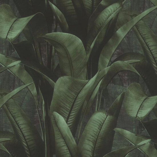 Обои Rasch Back to nature 416237 винил на флизелине поверхность полуматовая размер рулона 053х1005 Германия