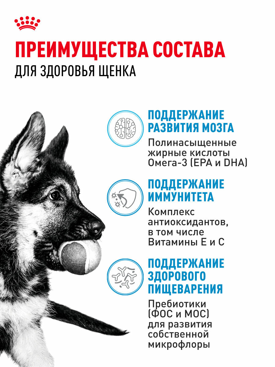 Сухой корм для щенков Royal Canin Maxi Puppy для крупных пород, 15 кг — фото 1