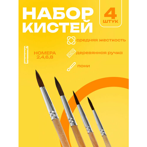 фото Набор кистей пони 4 штуки: № 2, 4, 6, 8, круглые, с деревянными ручками, в блистере calligrata