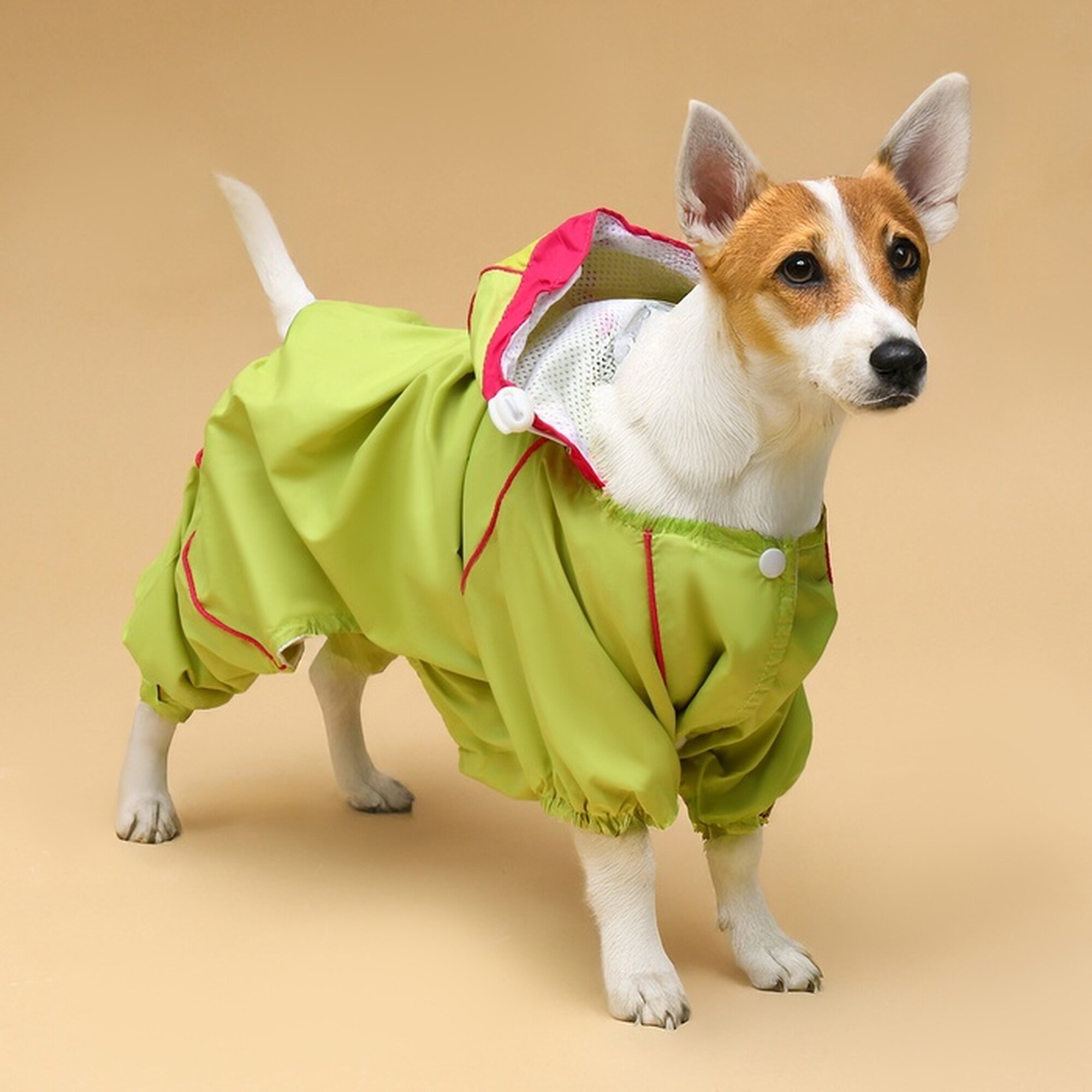 Комбинезон для собак демисезонный с сумкой размер 2ХL (ДС 41 Ог 53 ОШ 36 см) салатовый 938121