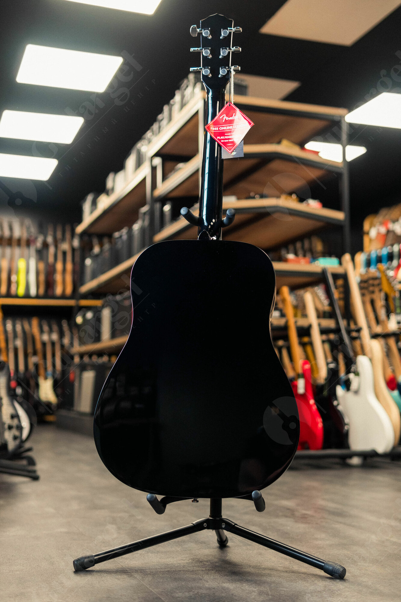 Акустическая гитара Fender CD-60S Black WN — фото 1