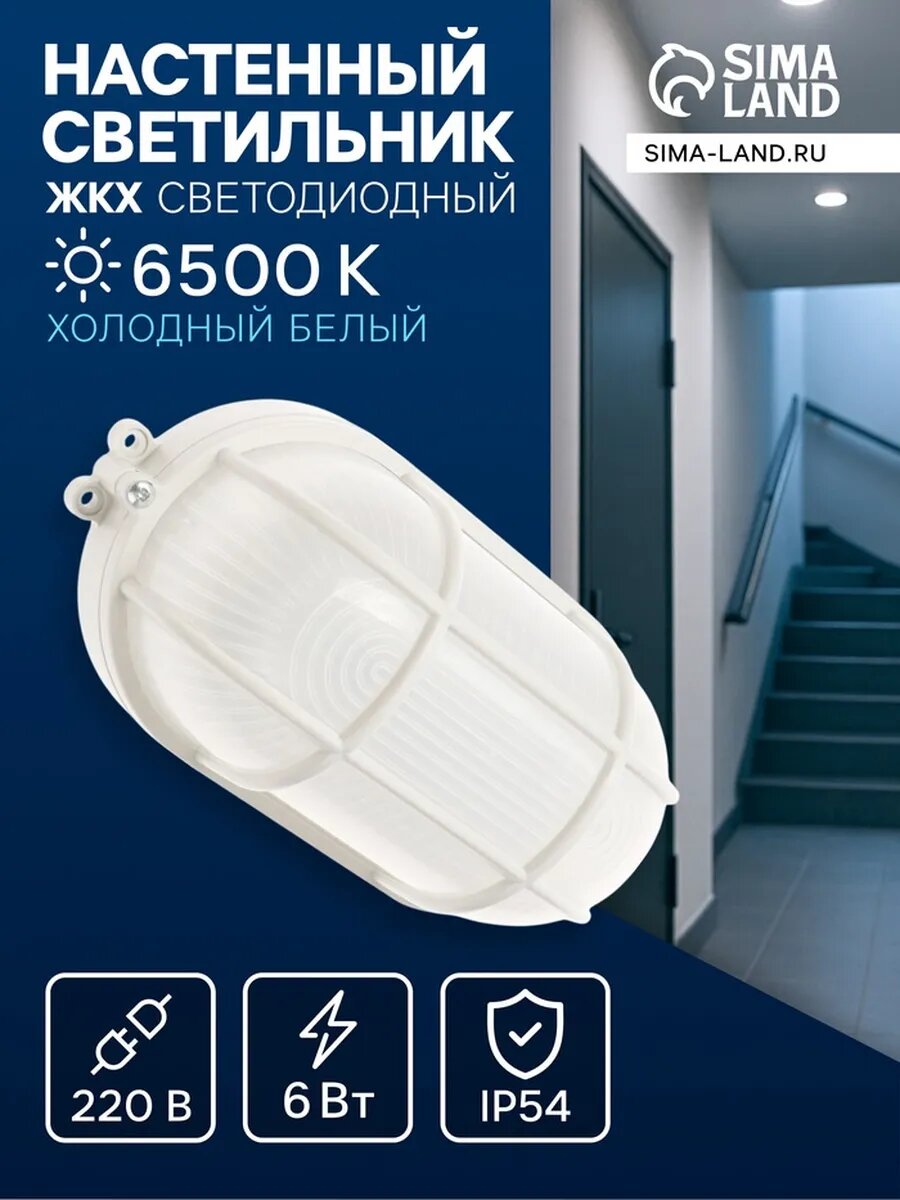 Светильник ЖКХ светодиодный 6 Вт IP54 6500К 220В овал