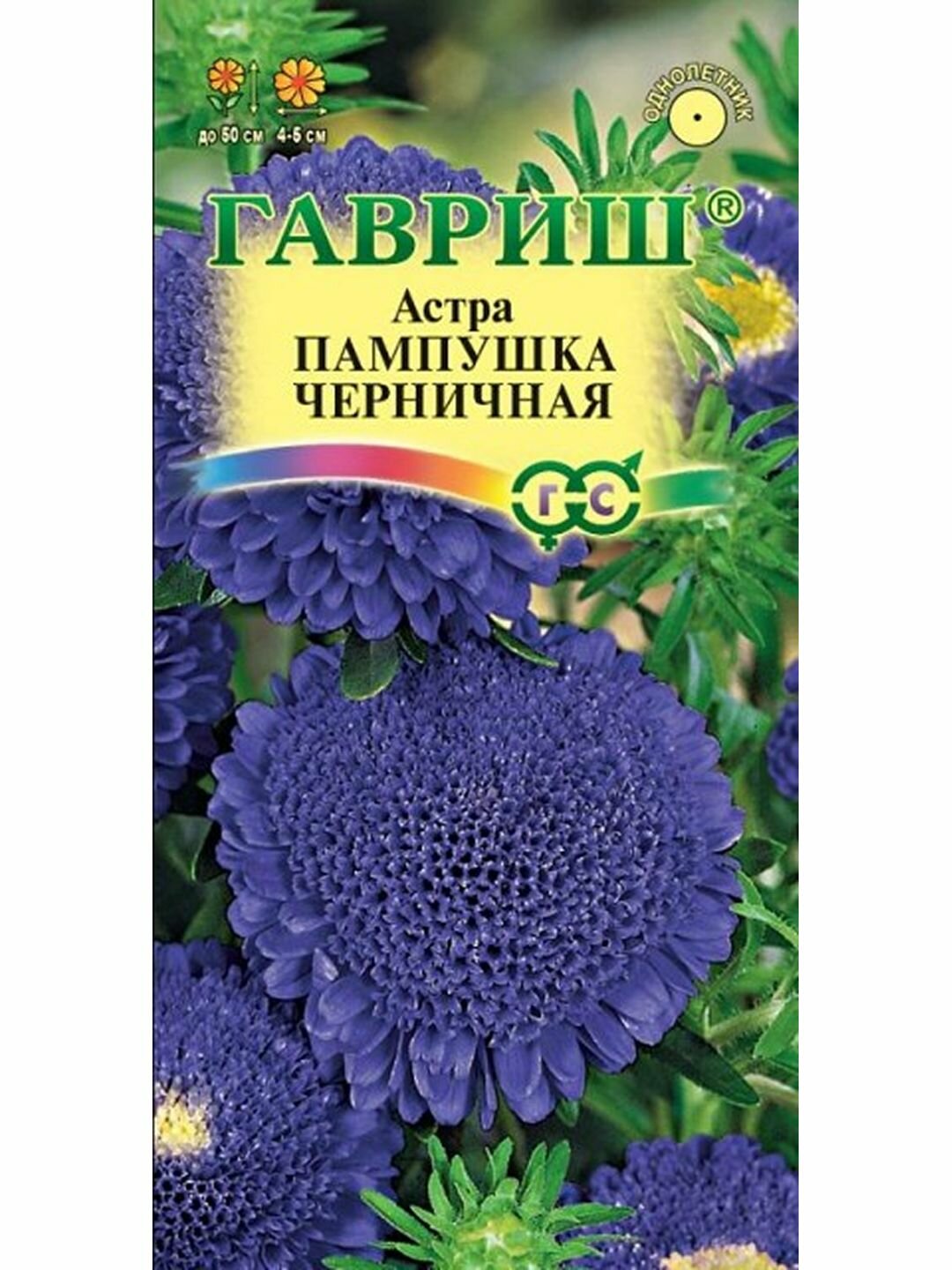 Семена Астра Пампушка черничная однолетник цветной пакет Гавриш 1 пачка - 0.3г семян