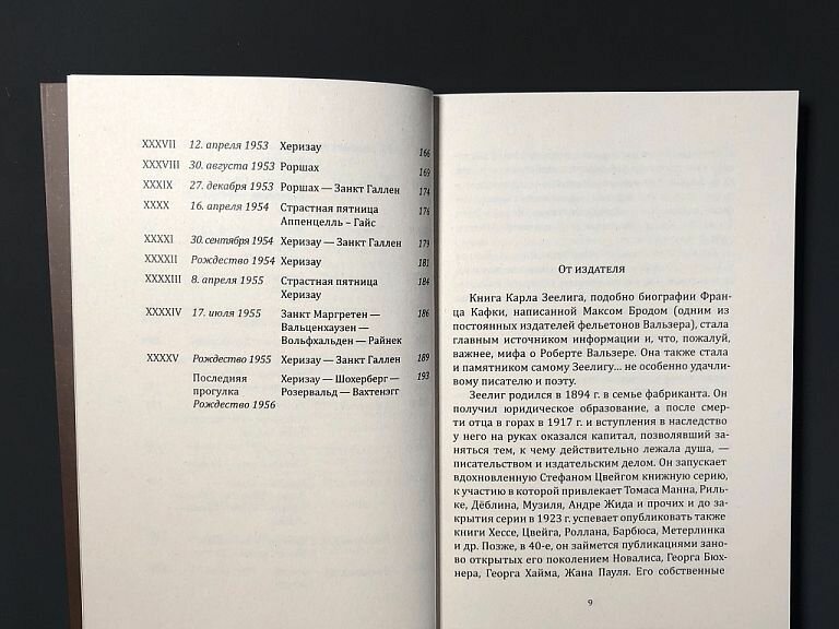 Зеелиг К. "Прогулки с Робертом Вальзером" — фото 1