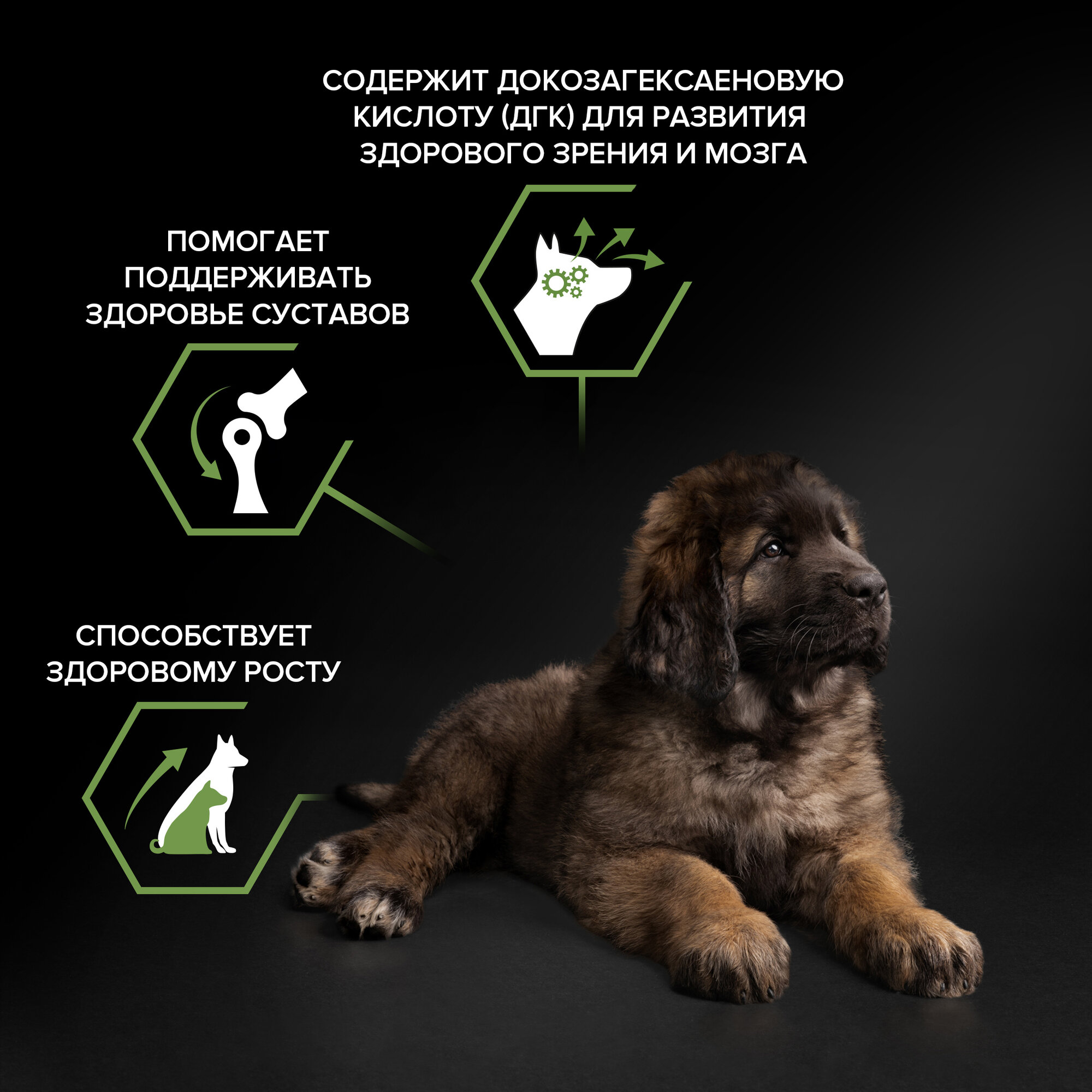 Сухой корм PRO PLAN® HEALTHY START для щенков крупных пород с мощным телосложением, c курицей, 12 кг — фото 1