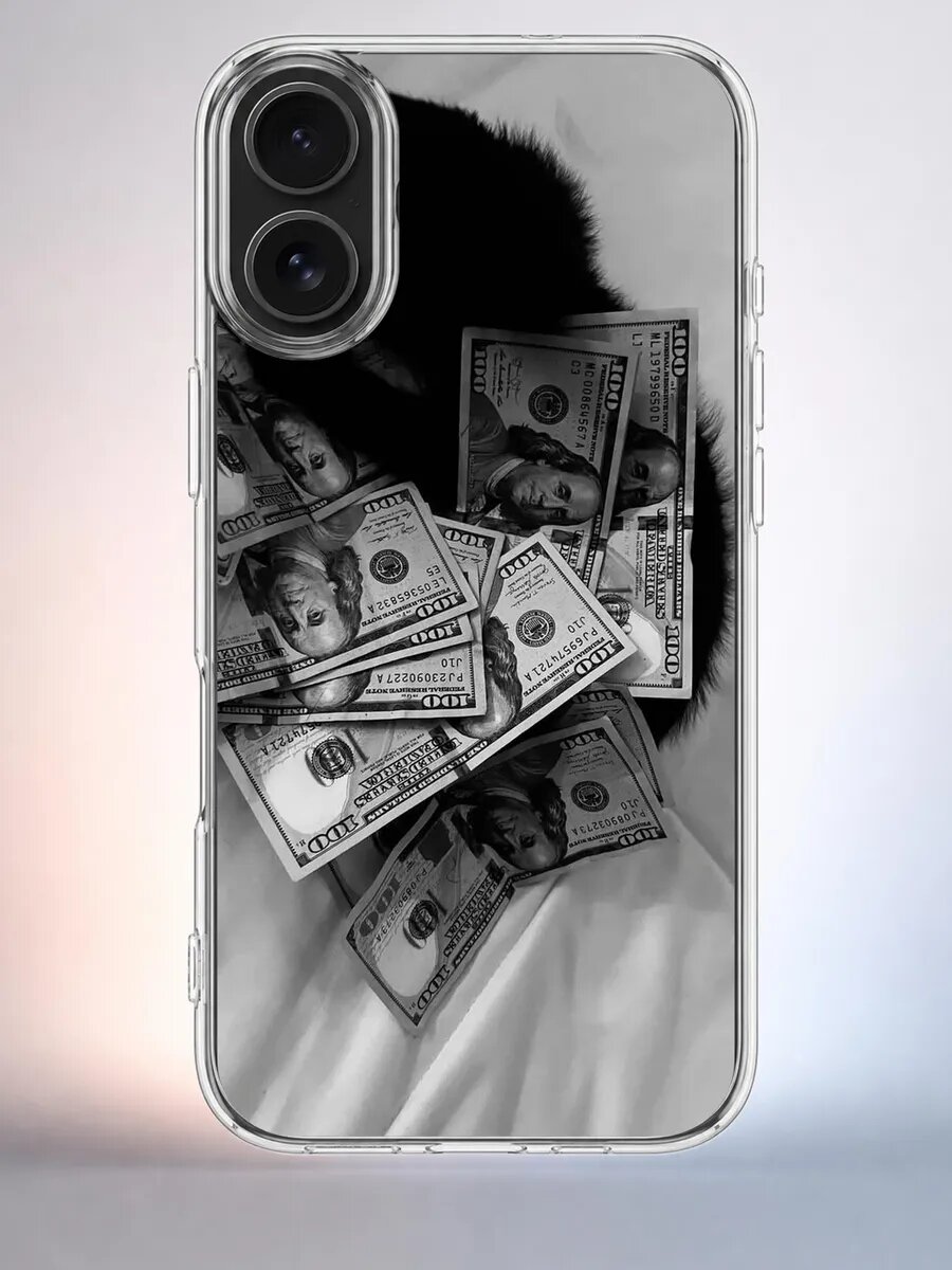 Чехол iPhone 16 кот на деньгах силиконовый прозрачный