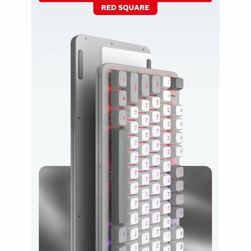 Игровая клавиатура Red square Alumix TKL Gray Matter RSQ-20048 7777₽