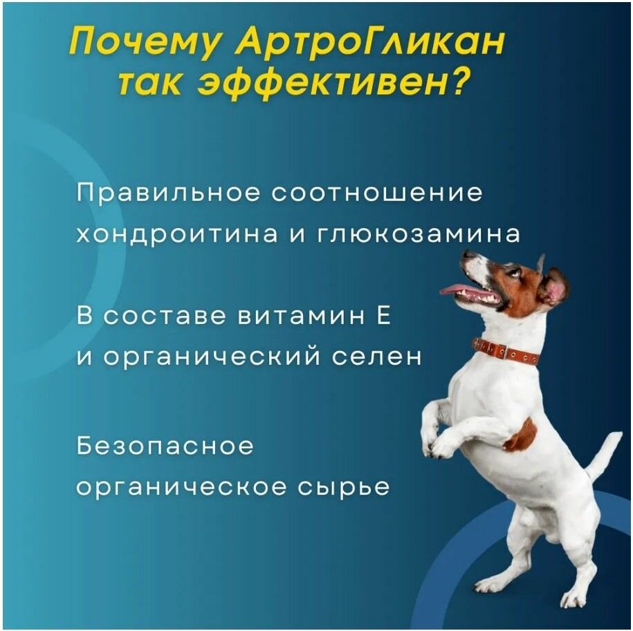 Артрогликан для собак, кошек, крыс и других животных 30 т хондропротектор, кормовая добавка для суставов, витамины — фото 1