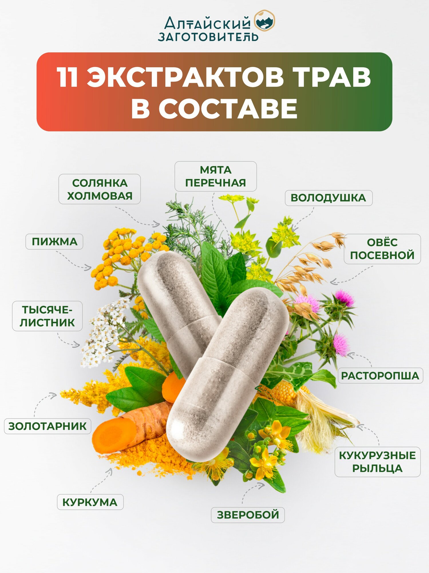 Изображение Гепатокомплекс Алтайский заготовитель, для печени, фито, 60 капсул