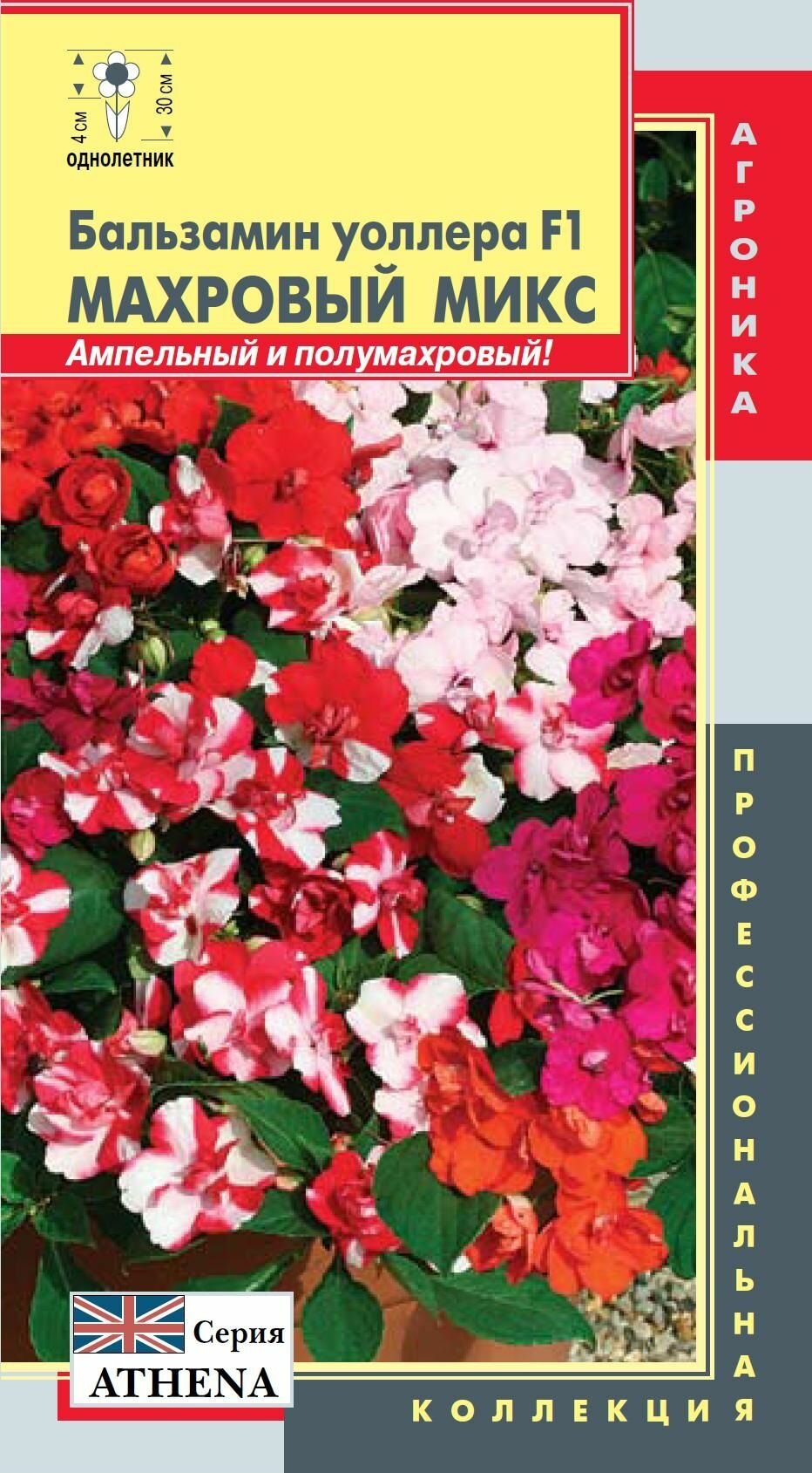 Бальзамин Уоллера F1 (Athena) Махровый Микс 4 семени /Плазменные семена