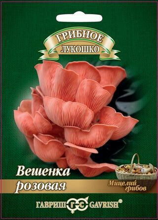 Мицелий Вешенка Розовая 12 шт. Гавриш