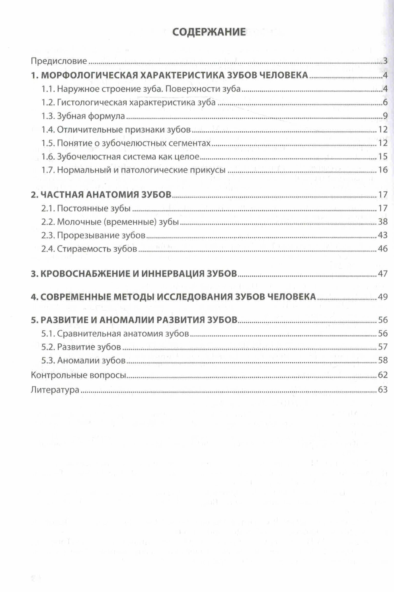 Анатомия зубов человека — фото 1