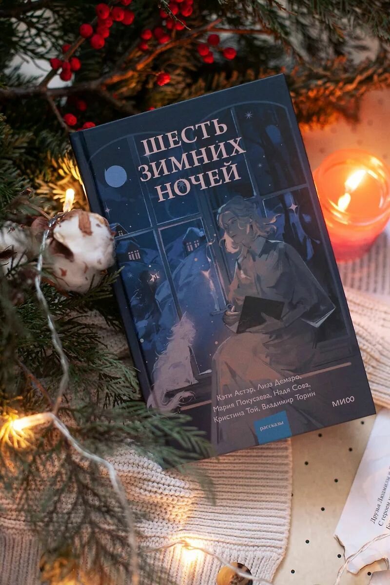 Шесть зимних ночей / Лизз Демаро, Мария Покусаева