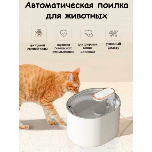 Автоматическая поилка с подсветкой для кошек и собак / Фонтан, белый