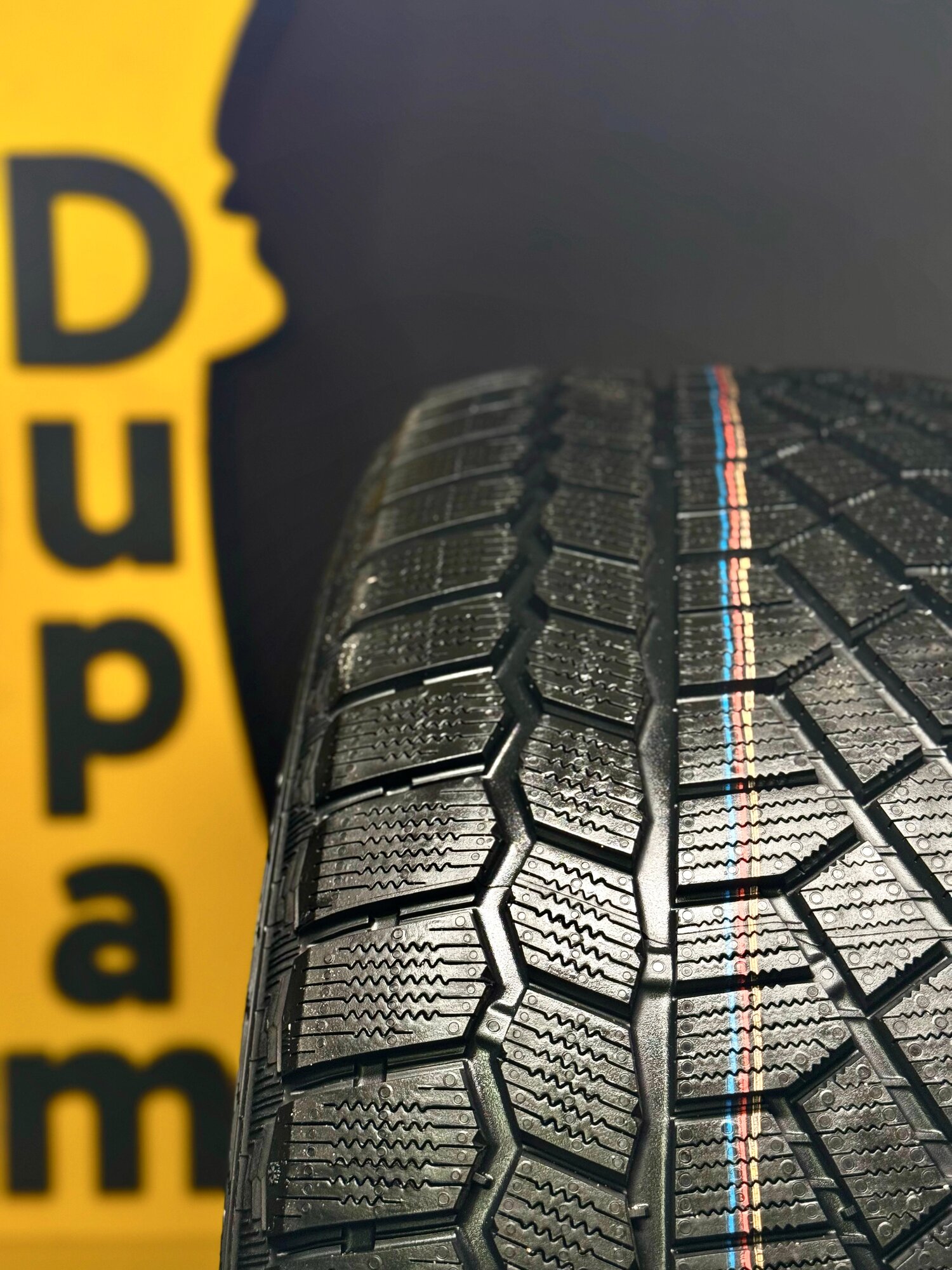 Шины Gislaved зимние SoftFrost 200 255/50 R19 107T для легковых авто