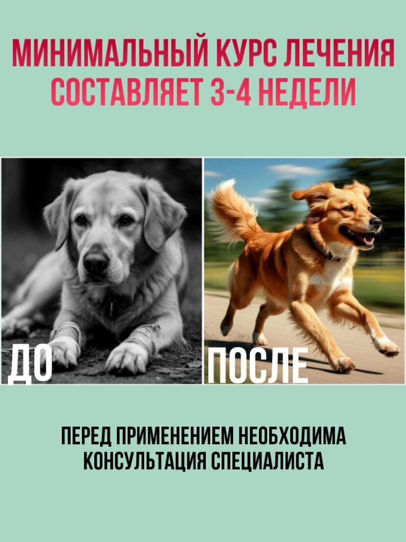 Картинки Артрогликан 300 таблеток витамины для животных хондропротектор для собак кошек хорьков крыс