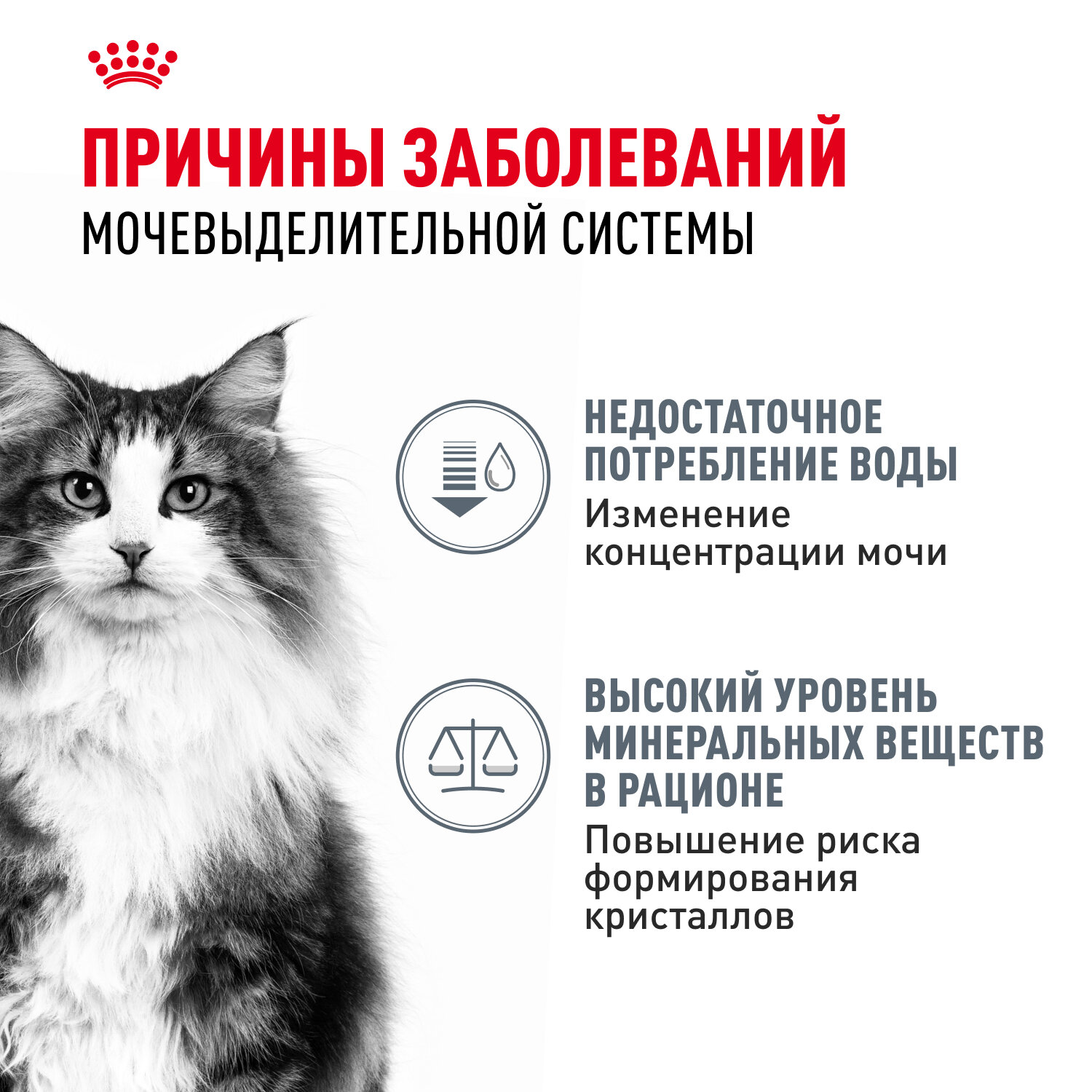 Влажный корм Royal Canin Urinary Care пауч для профилактики МКБ у кошек (кусочки в соусе) Птица, 85 г х 28 шт. — фото 1