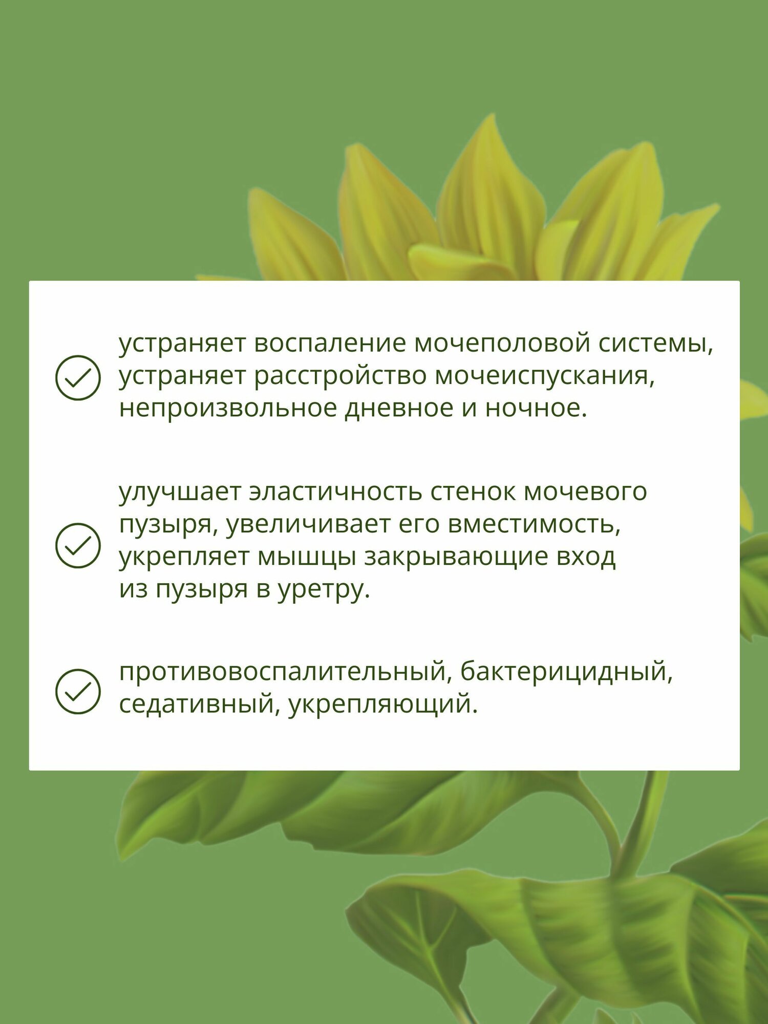 Картинки Травяной сбор при энурезе № 51 чай при ночном недержании мочи