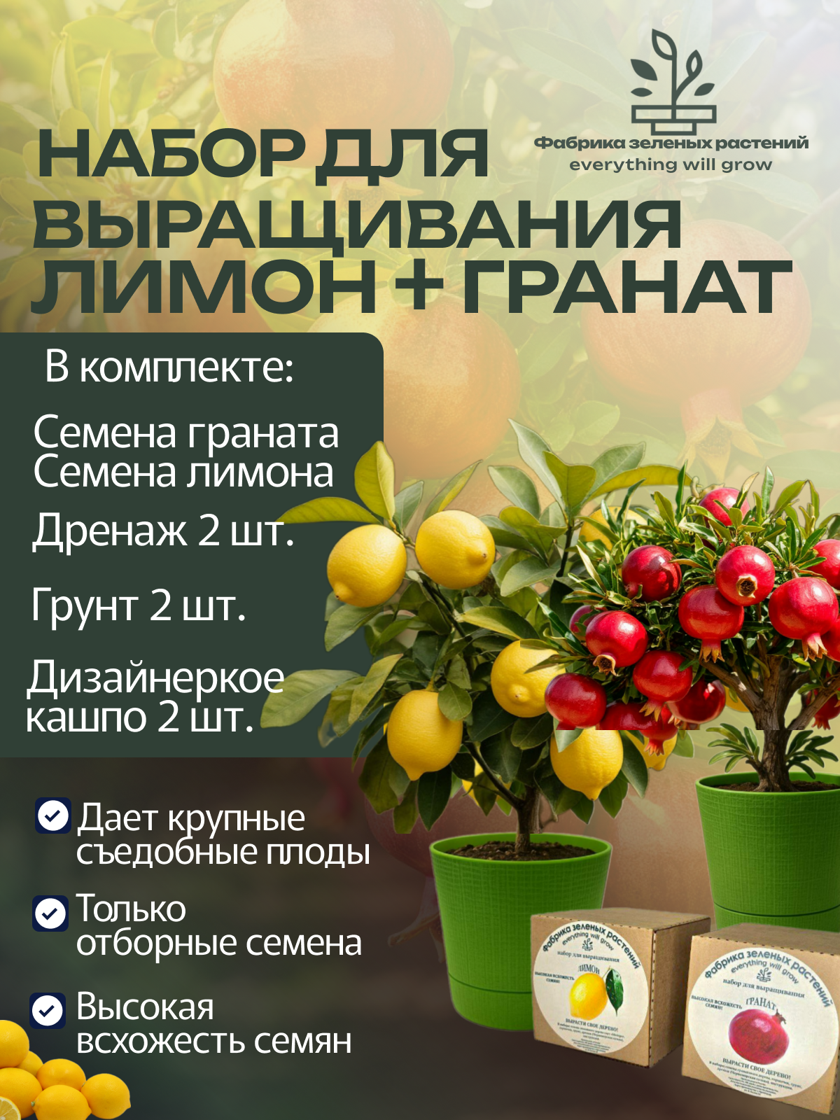 Домашний лимон набор + Домашний гранат набор