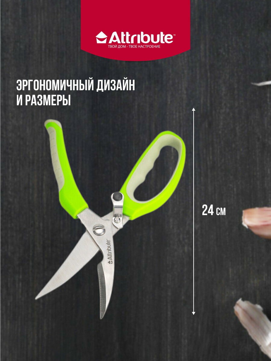 Ножницы для птицы ATTRIBUTE "VIVA", нержавеющая сталь/пластик — фото 1
