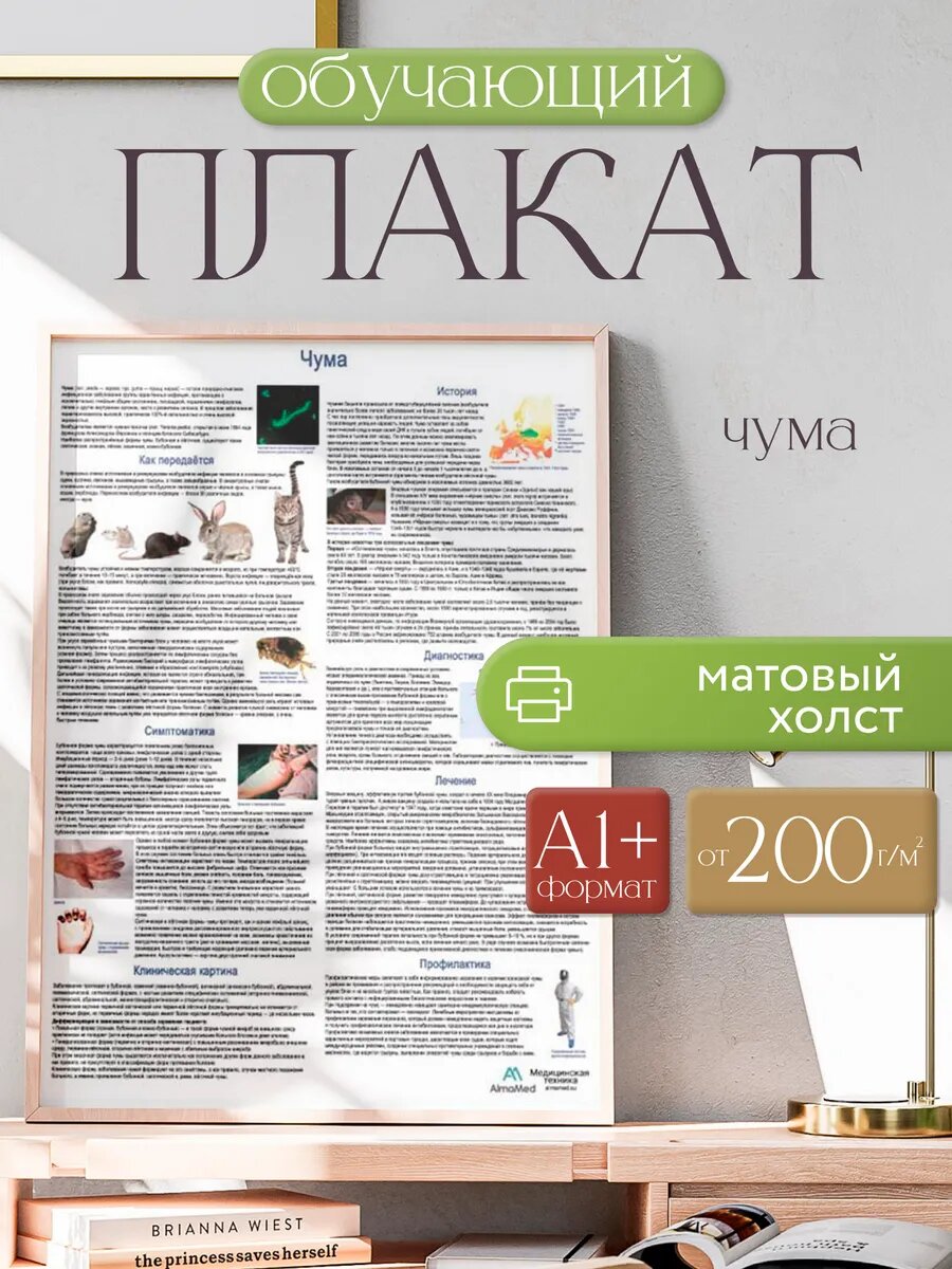 Обучающий плакат "Чума", размер А1+, матовый холст от 200г/м2