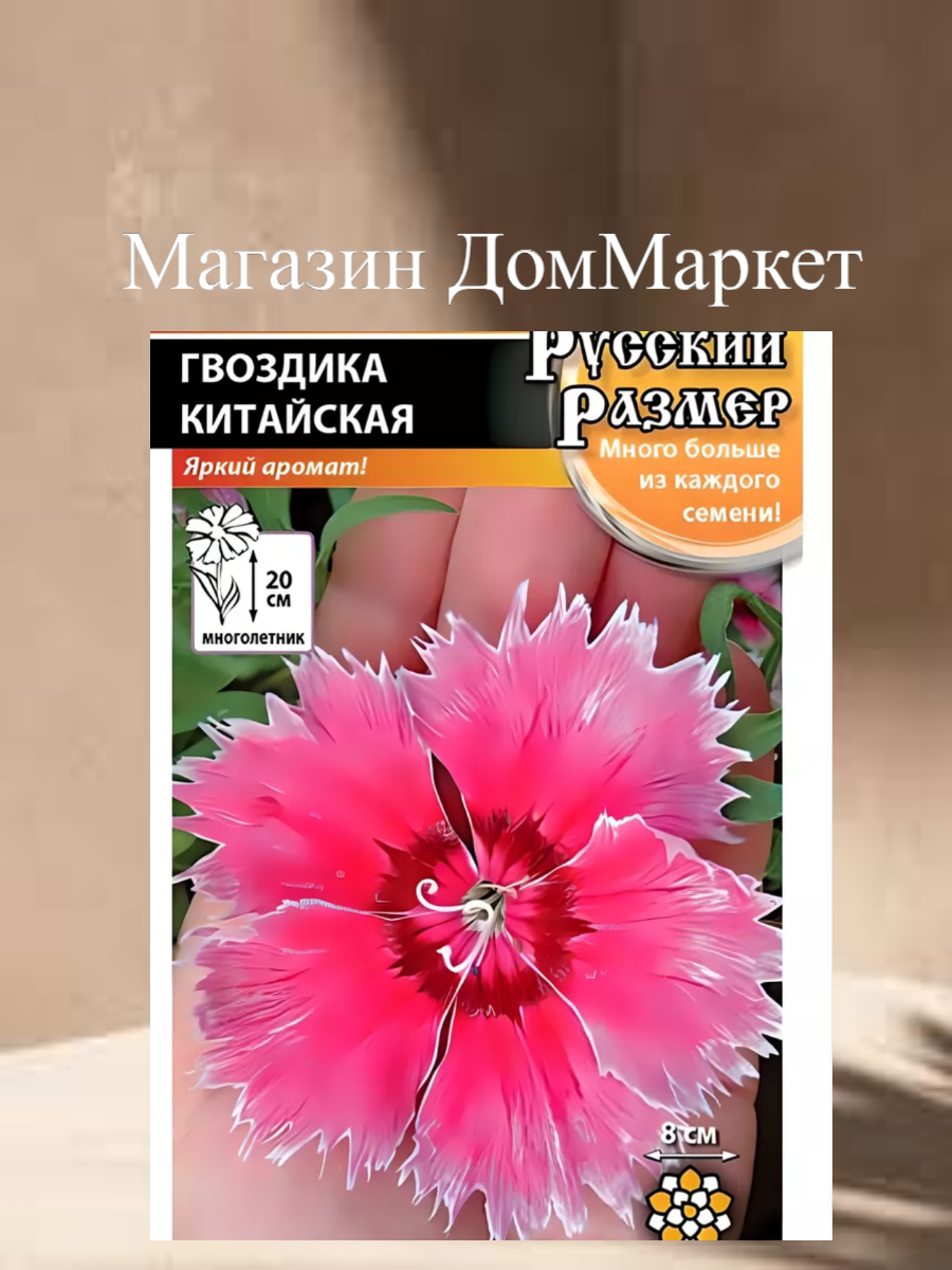 Гвоздика Китайская Русский Размер Семена цветов Гвоздика Китайская